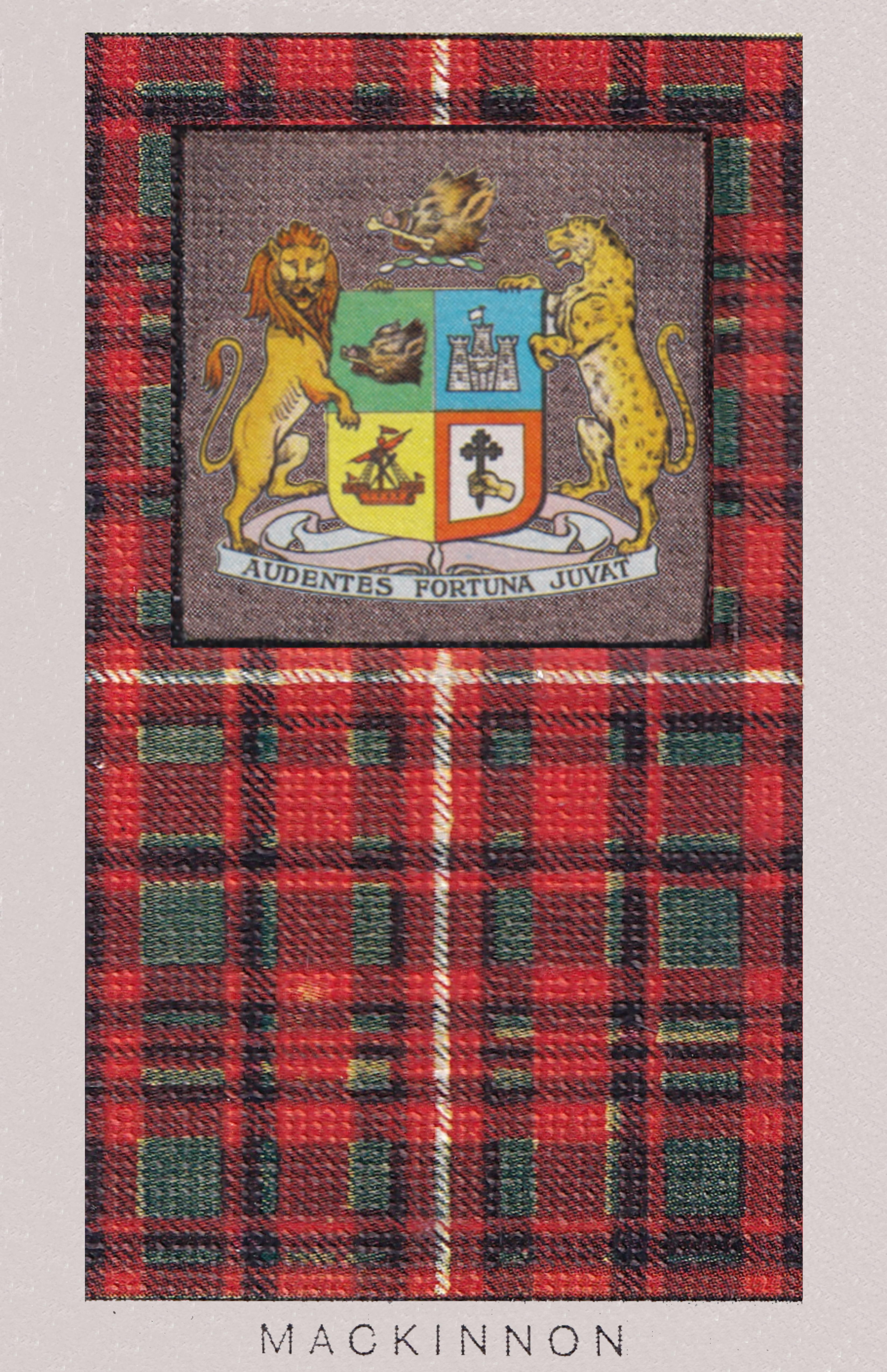 Clan mackinnon Coat of Arms and Tartan Vintage Poster