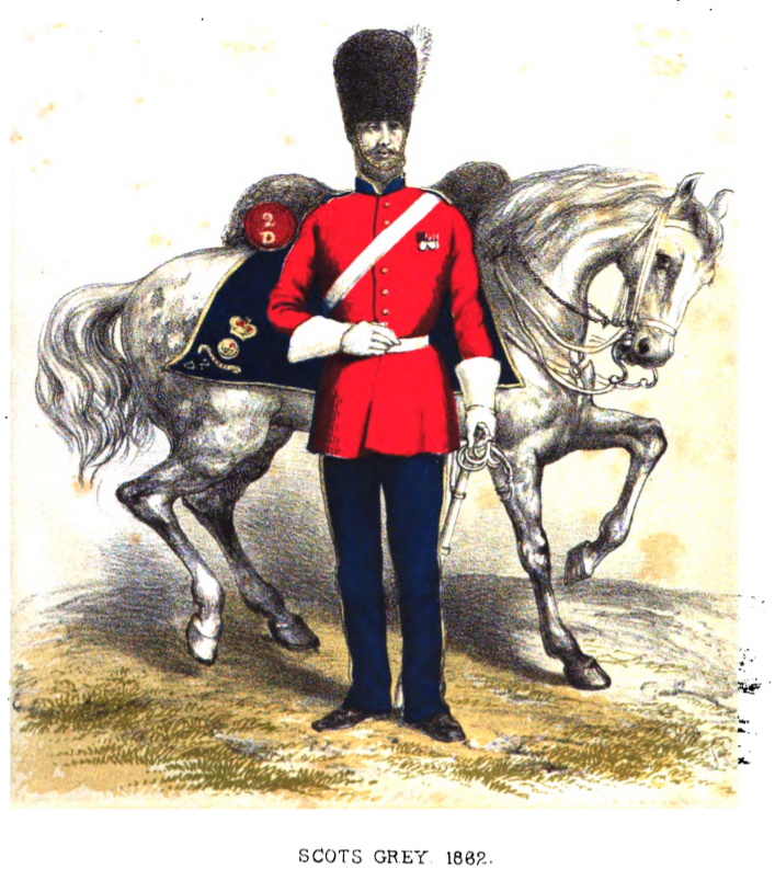 Scots Grey 1862