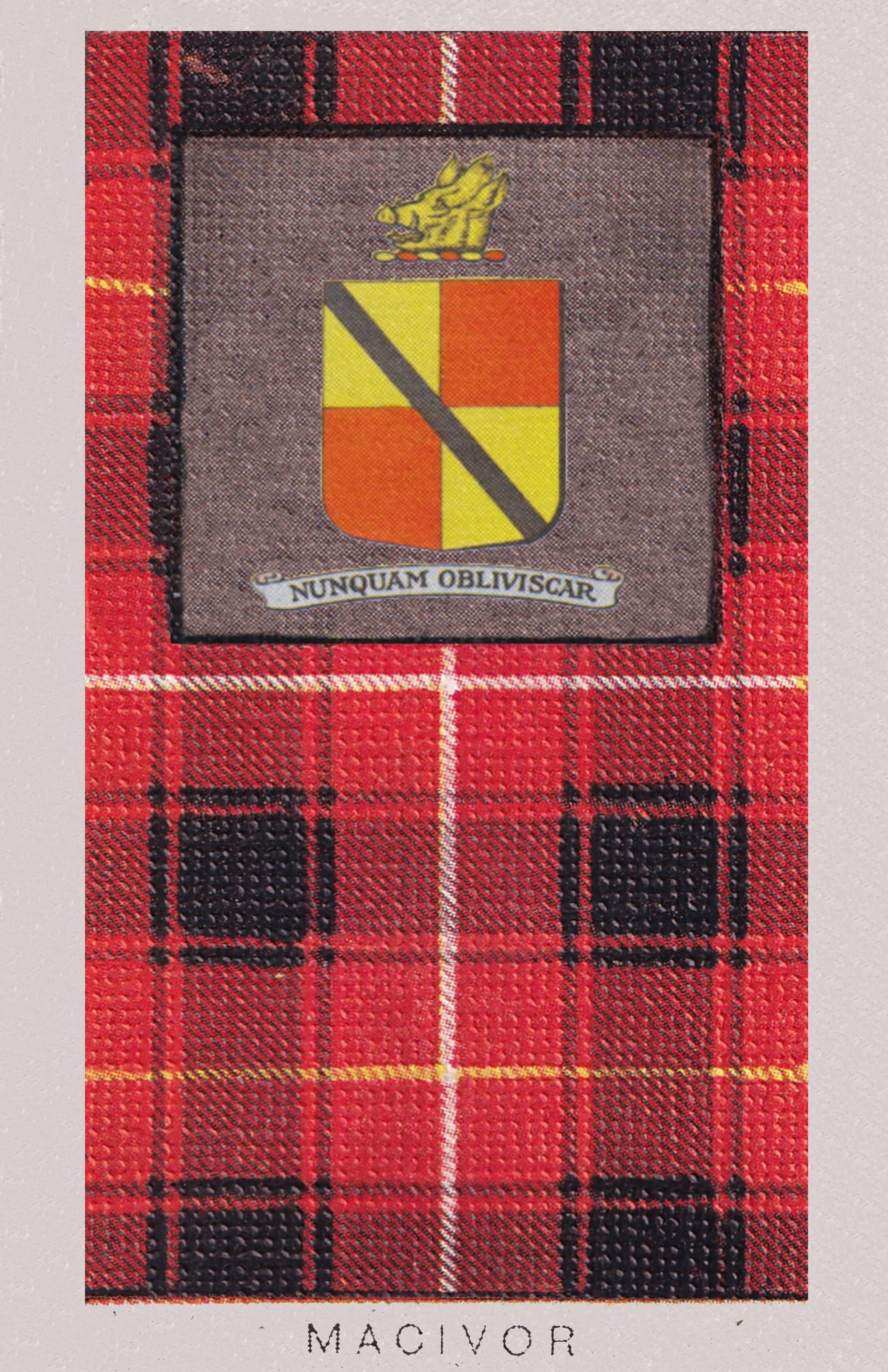 Clan MacIver Coat of Arms and Tartan Poster